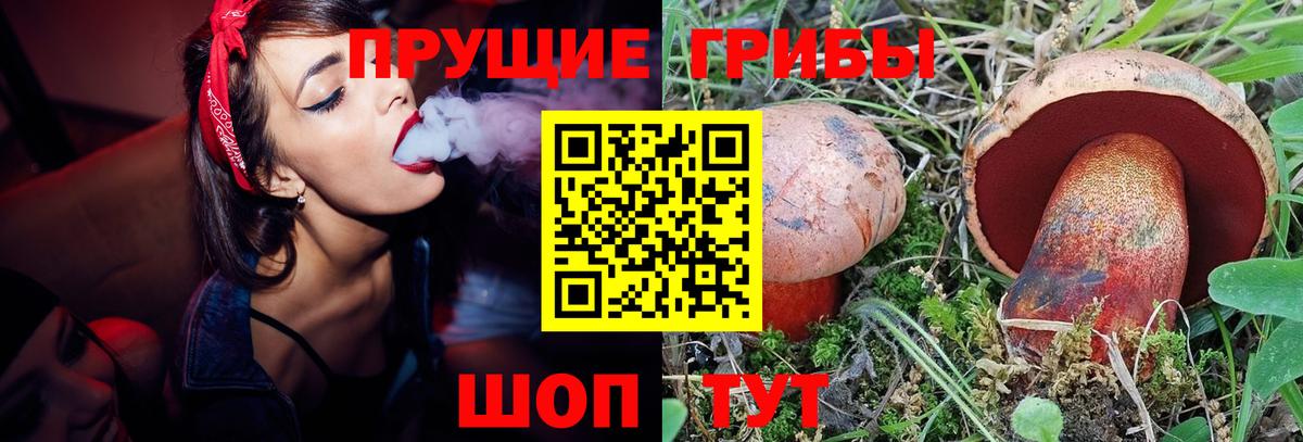 Галлюциногенные грибы GOLDEN TEACHER  Вход с VPN  Унеча 